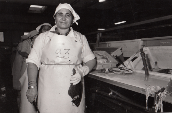 werkneemster van visfileerfabriek Diepvries Breskens, jaren 1980 – © Lieve Colruyt